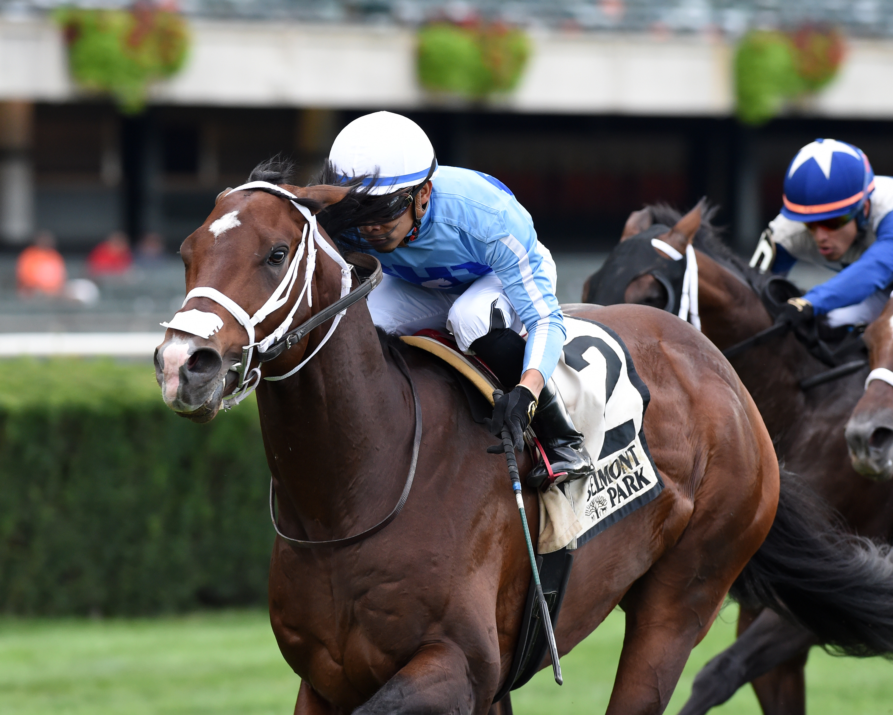 Uncle Benny wins the 2019 Allied Forces Stakes
