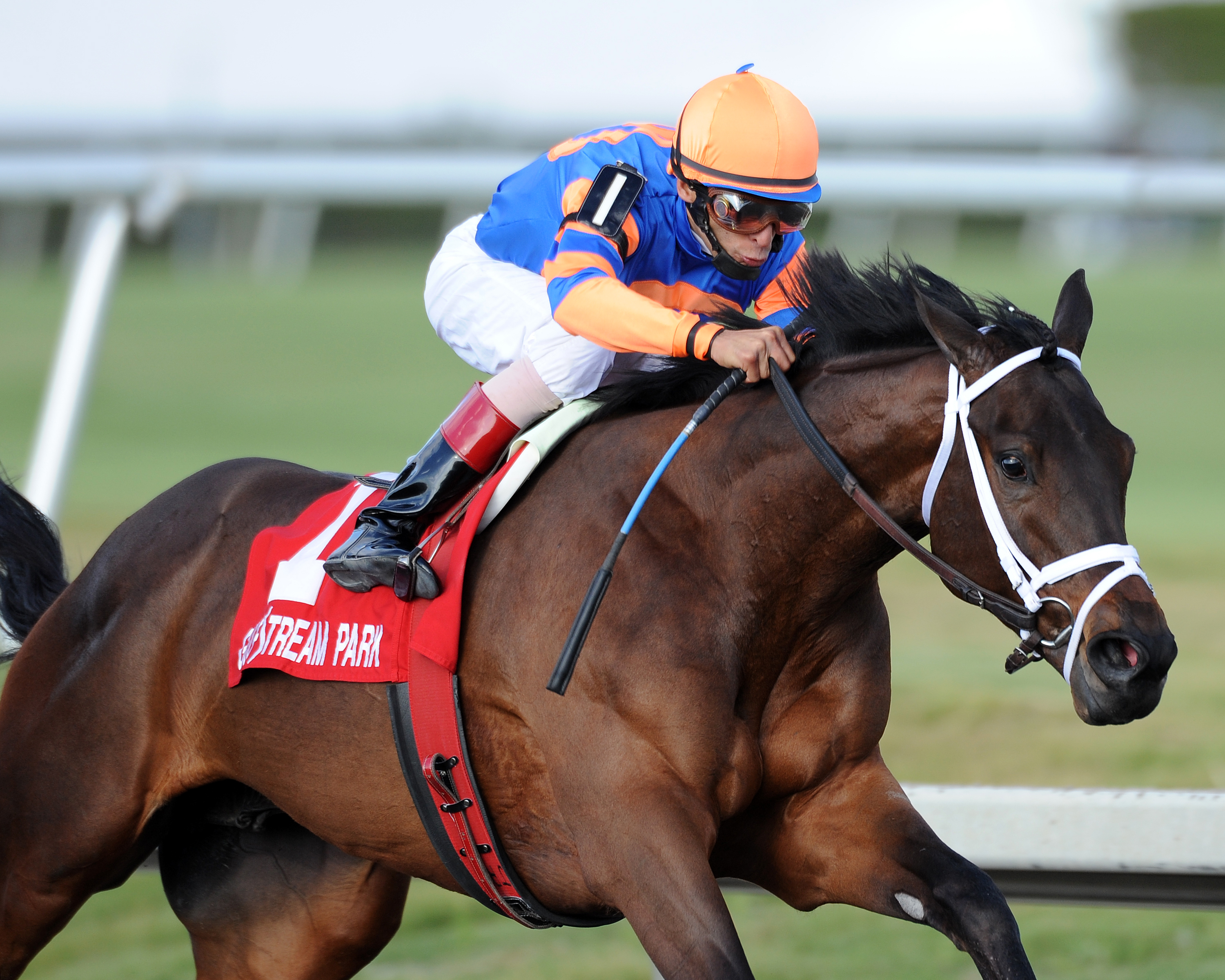 Uncle Mo wins Timely Writer