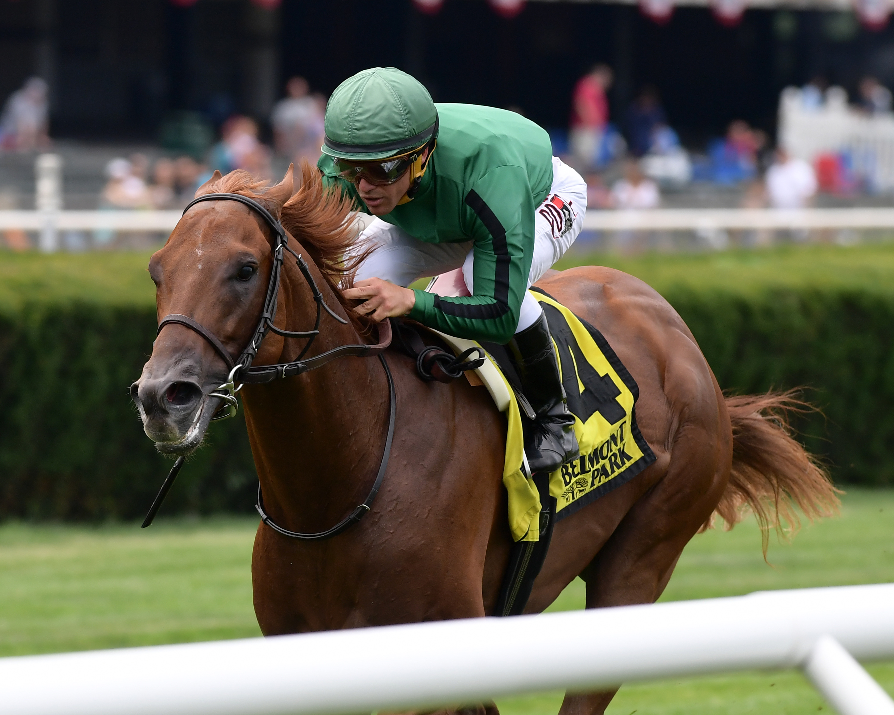 Up the Ante wins the 2018 Manila Stakes