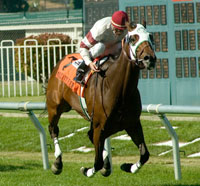 Vaca City Flyer