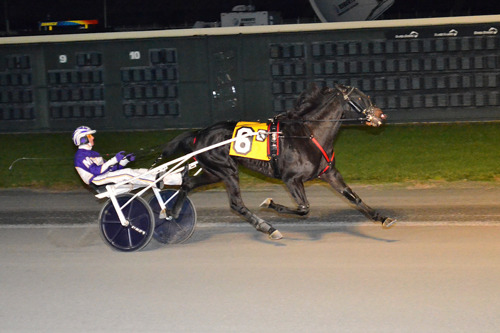 Venerable 11-4-21
