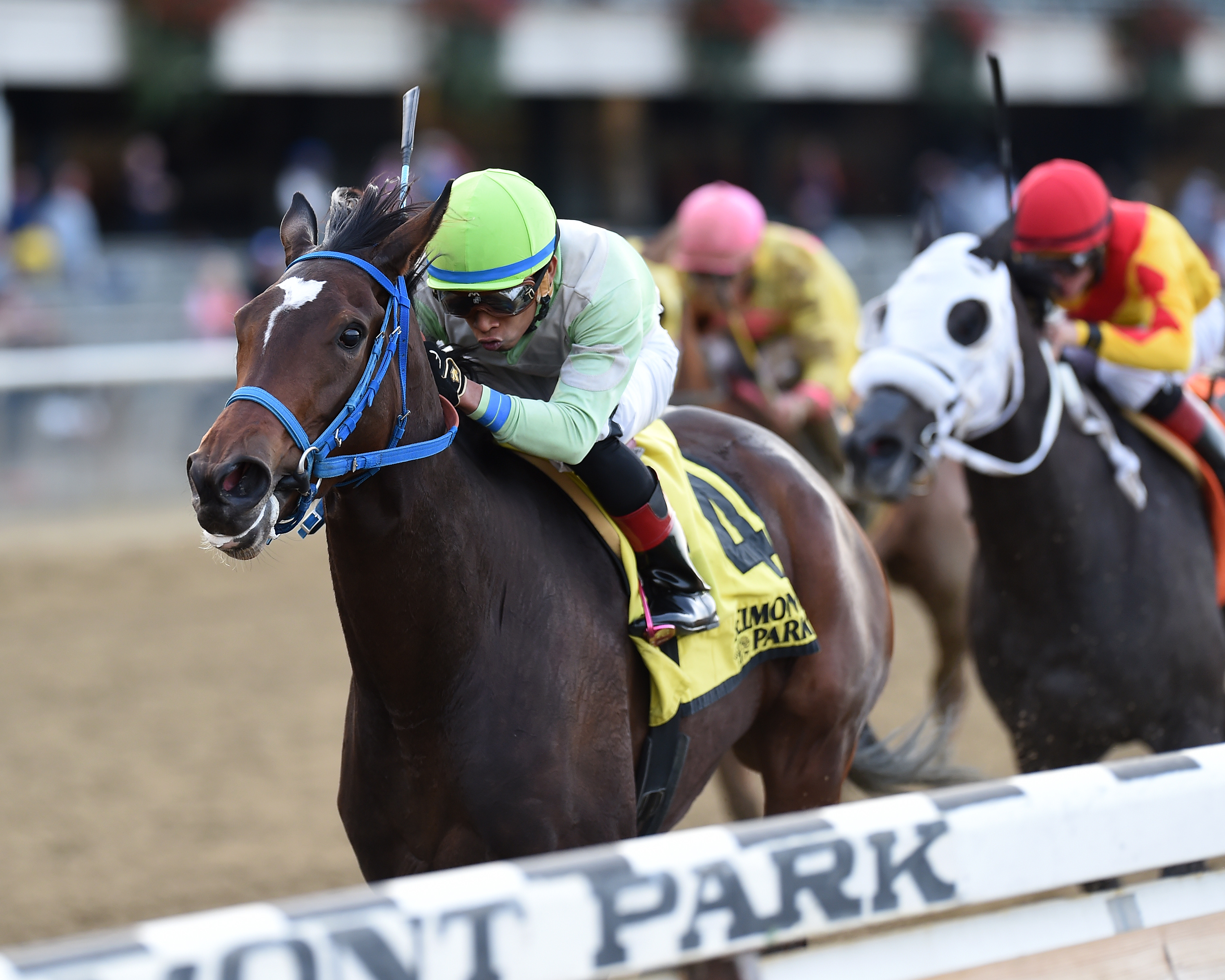 Verdant Pastures wins the 2017 Empire Distaff