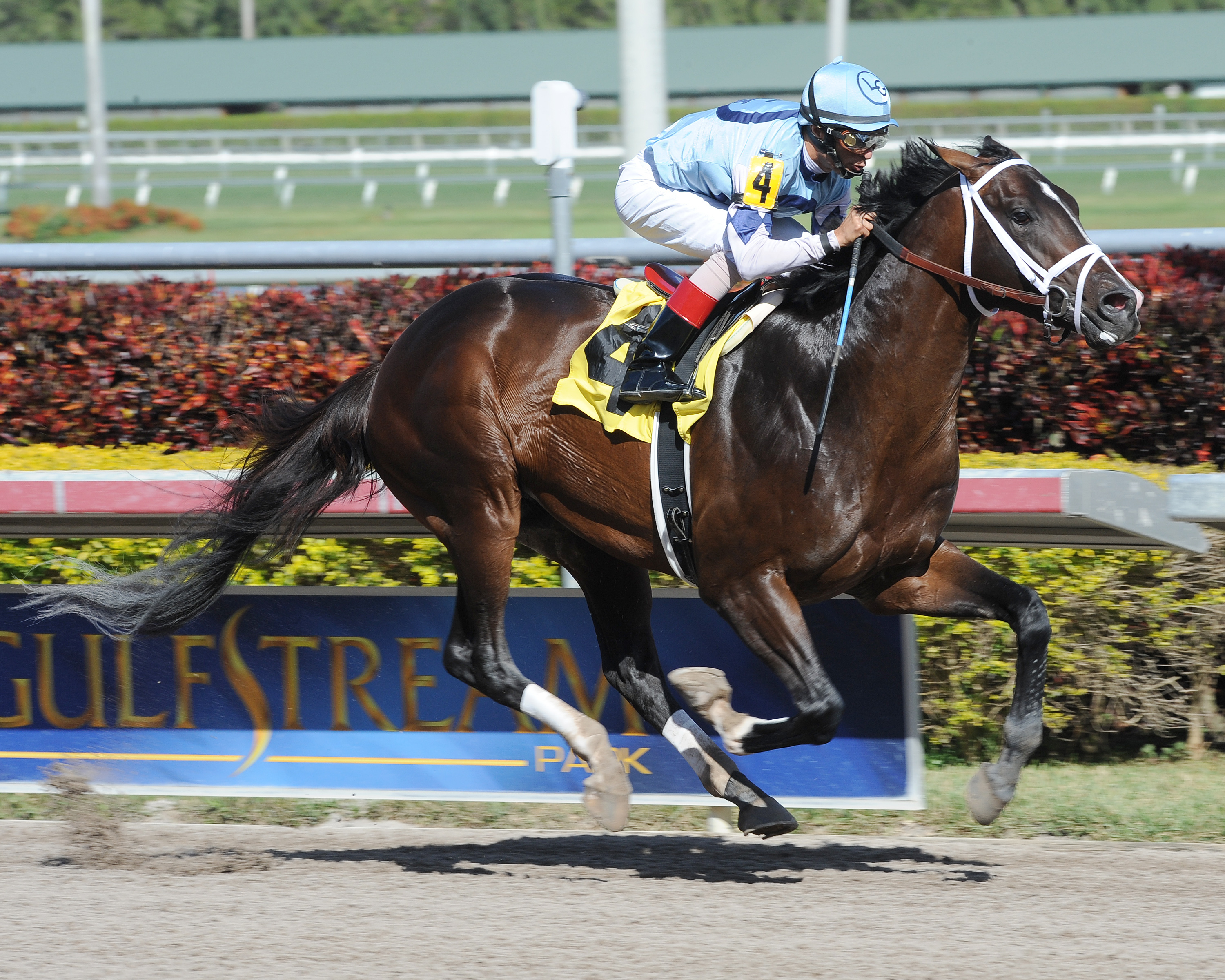 Verrazano 2-2-2013