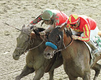 Victory Gallop