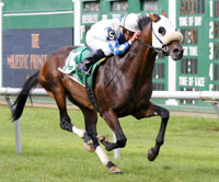 Victory Alleged