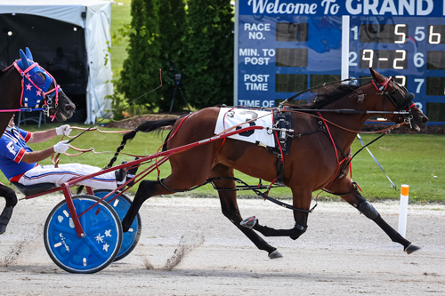 Voelz Delight 8-2-21