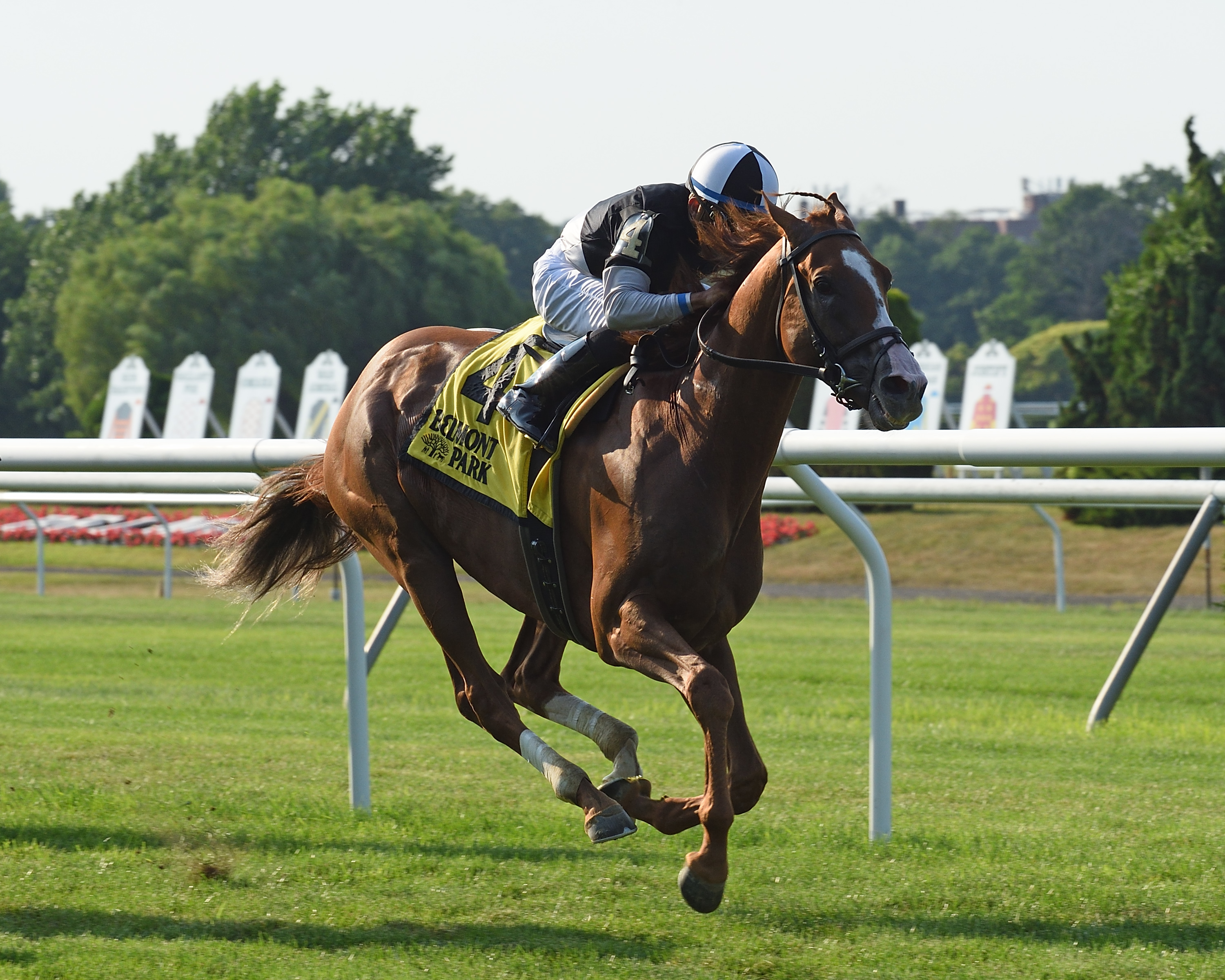 Voodoo Song wins the 2018 Forbidden Apple