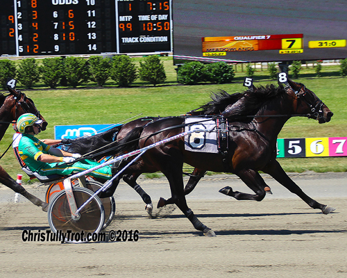 Walner 6/18/16
