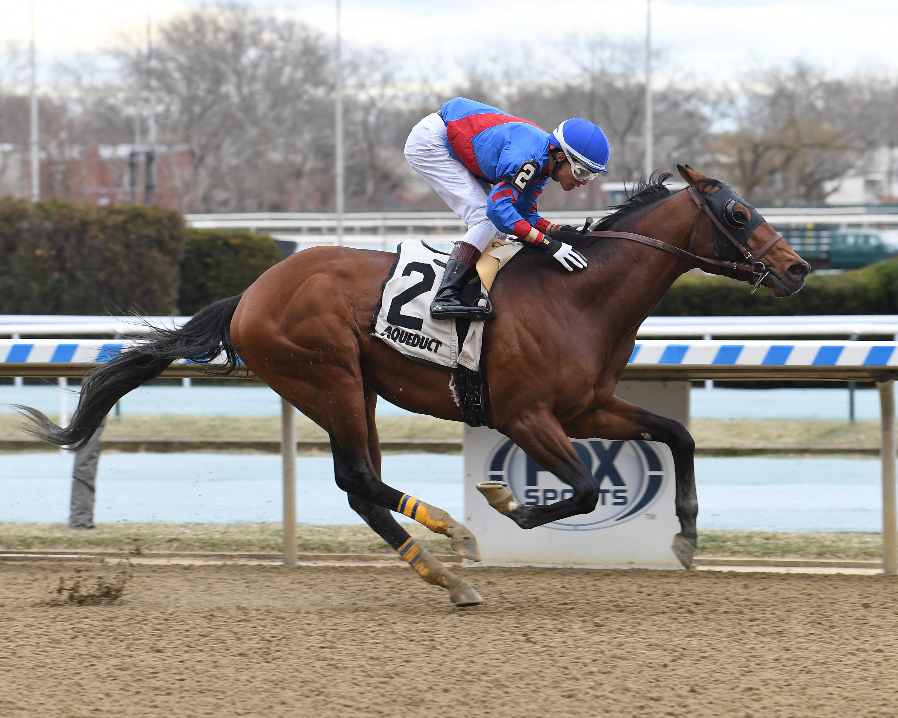 Water's Edge wins the Haynesfield 3-20-2022