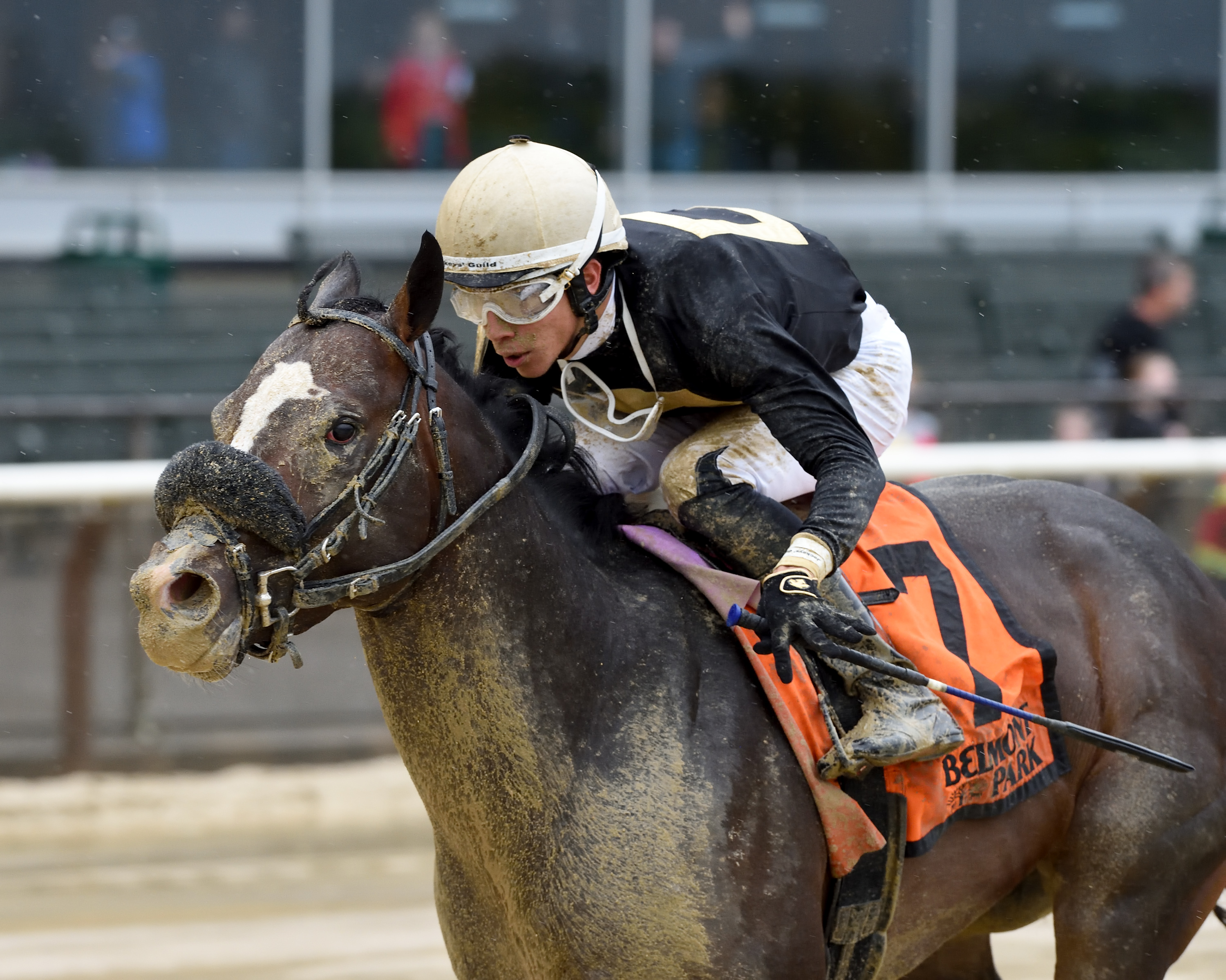 Wendell Fong wins the 2019 Gold Fever Stakes