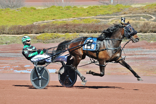 Weslynn Crown 4-2-22
