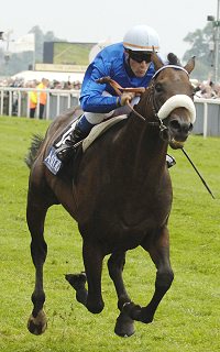 Westerner