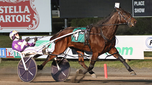 Western Joe 1/9/21