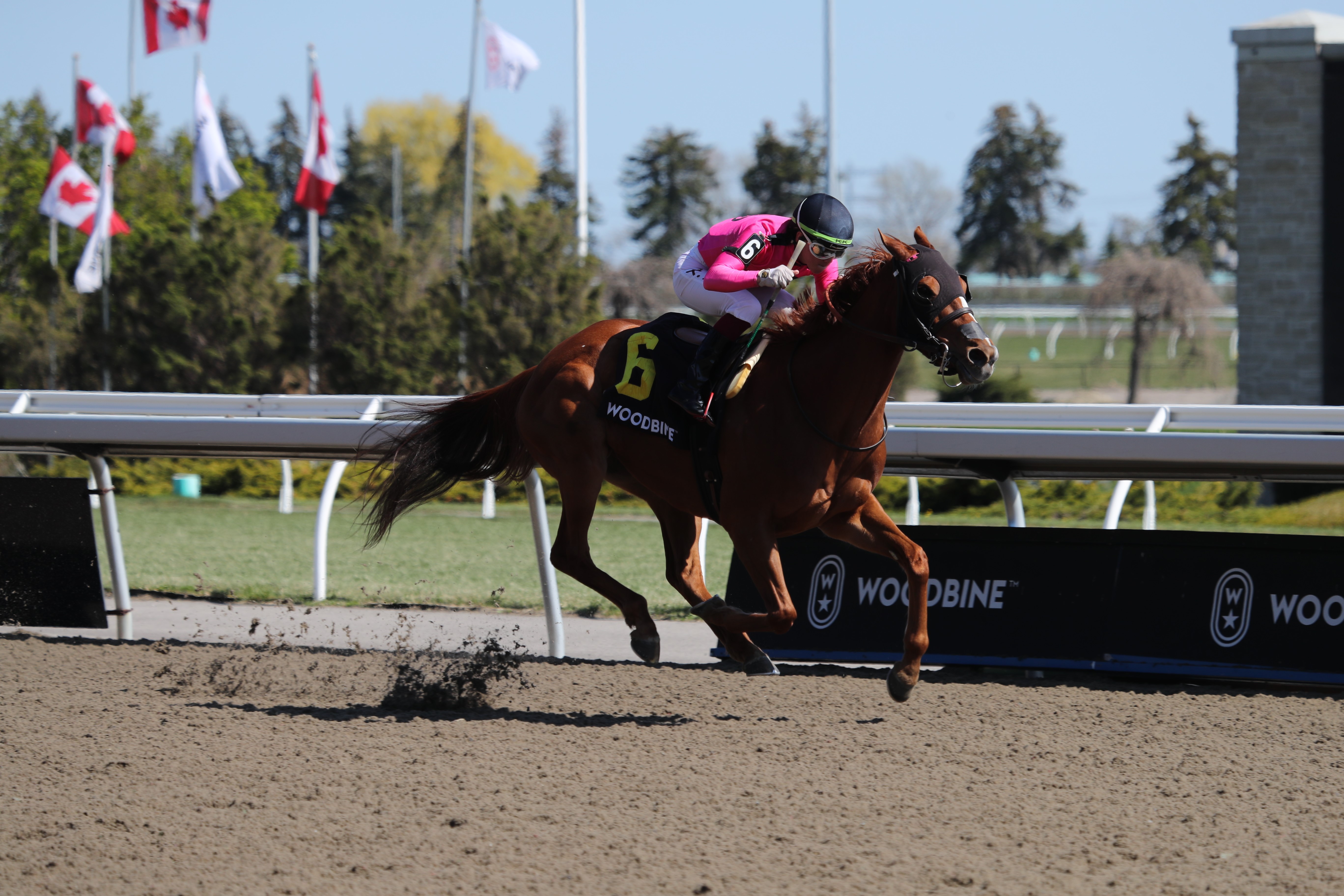 Our Secret Agent wins Whimsical 5-8-2022