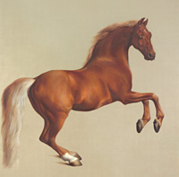 Whistlejacket