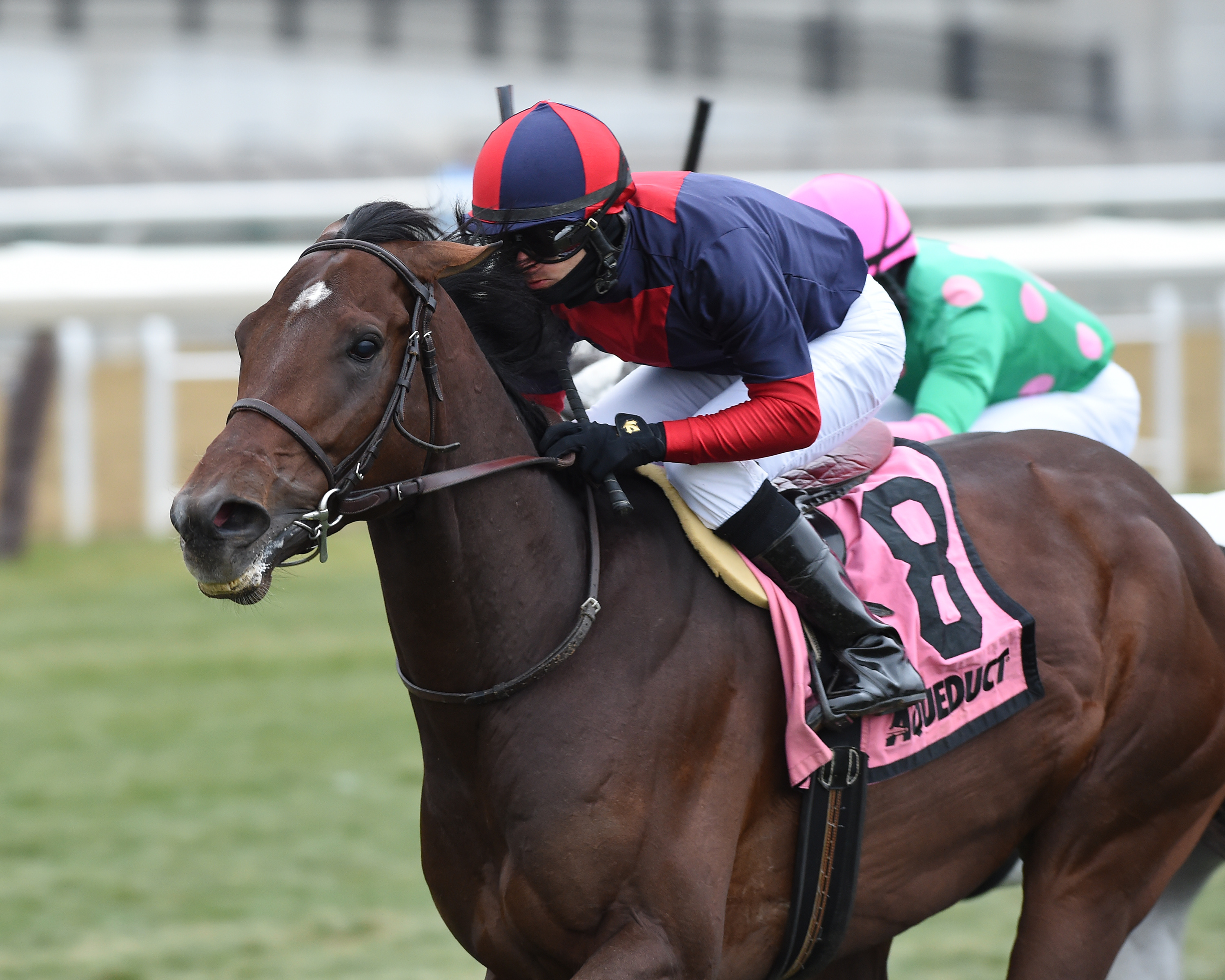 White Flag wins the 2018 Aqueduct Turf Sprint Championship