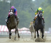Whoopi Cat & Unbridled Beauty