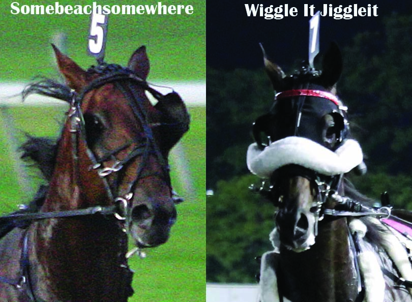 Wiggle_Beach