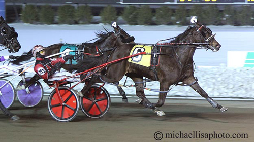 Wiggle It Jiggleit 2-26-22