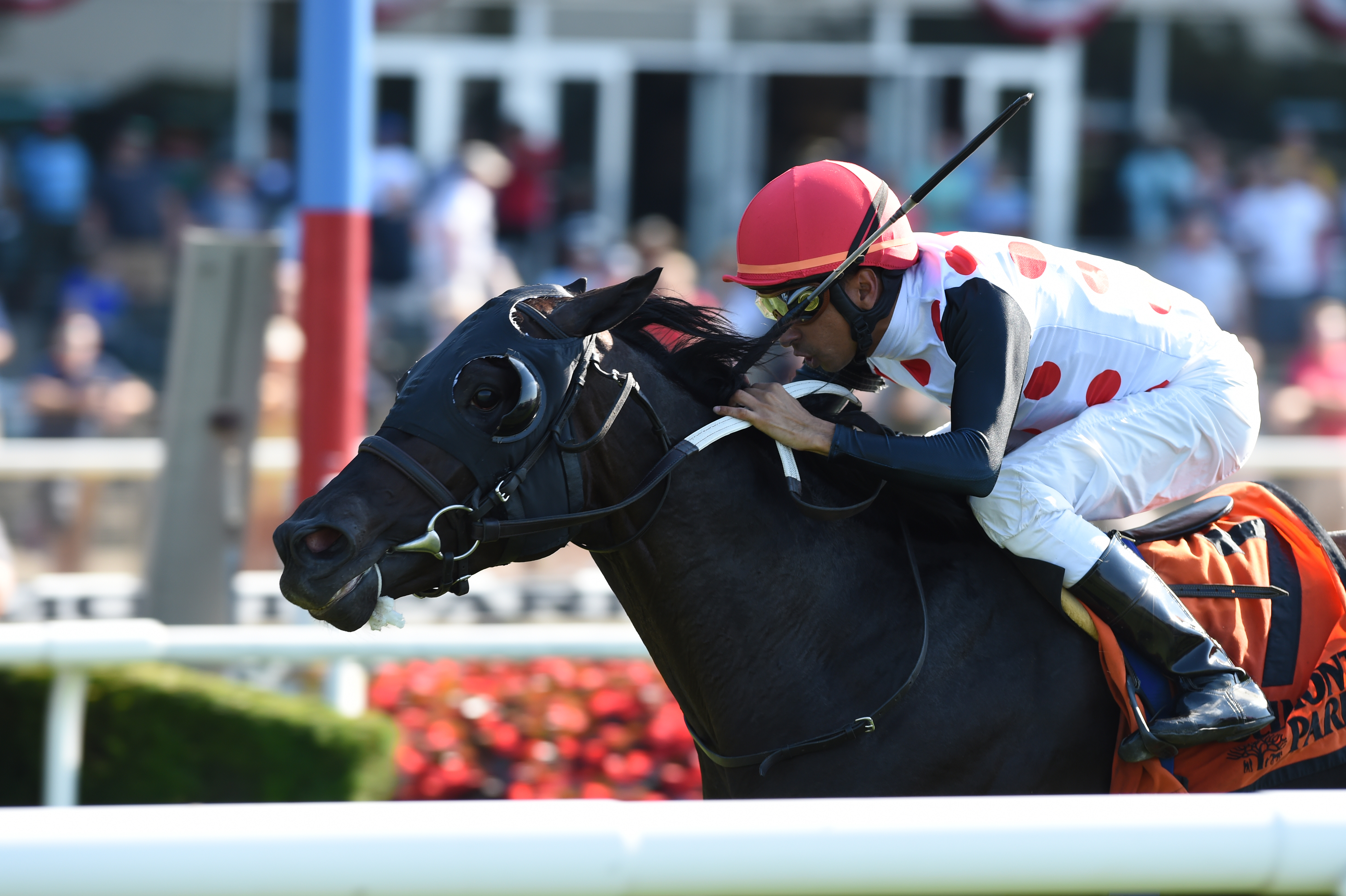 Win Win Win wins the 2019 Manila Stakes
