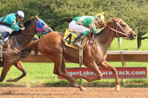Mr. Windjammer