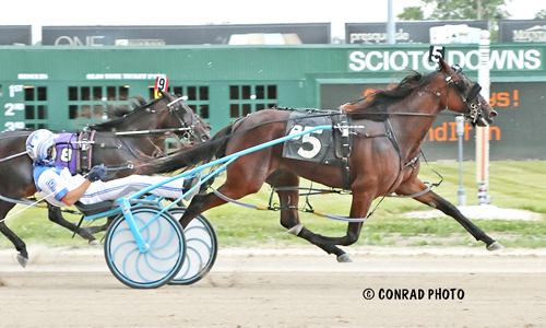 Winella Hanover 7/4/20