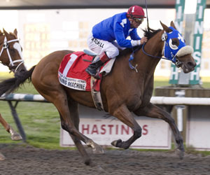 Winning Machine