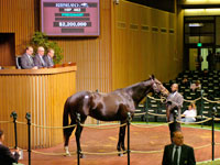 Win's Fair Lady
