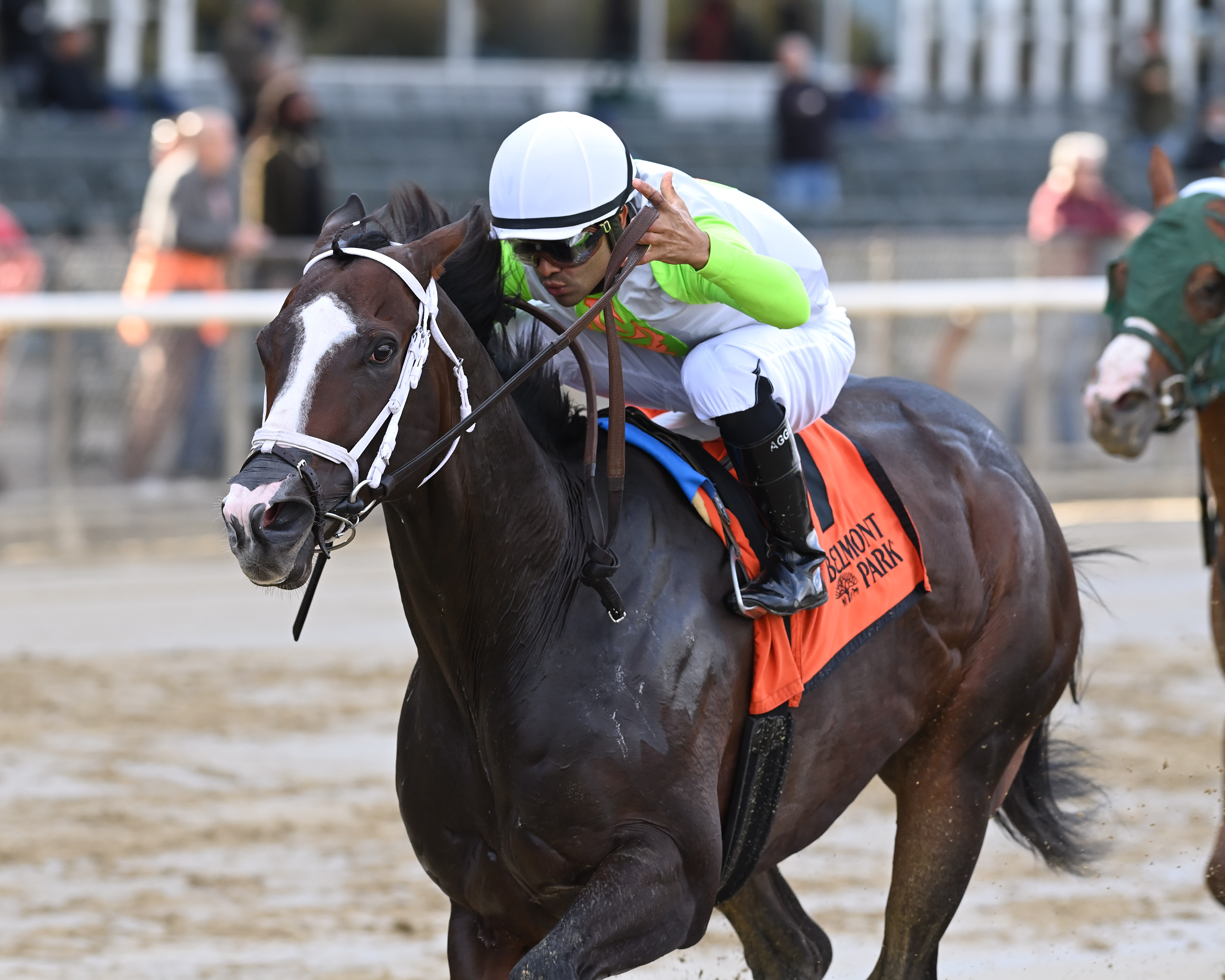 Wondrwherecraigis wins Bold Ruler 10-31-2021