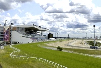 Woodbine