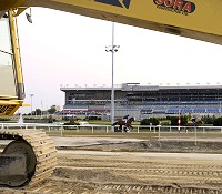Woodbine