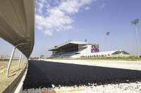 Woodbine