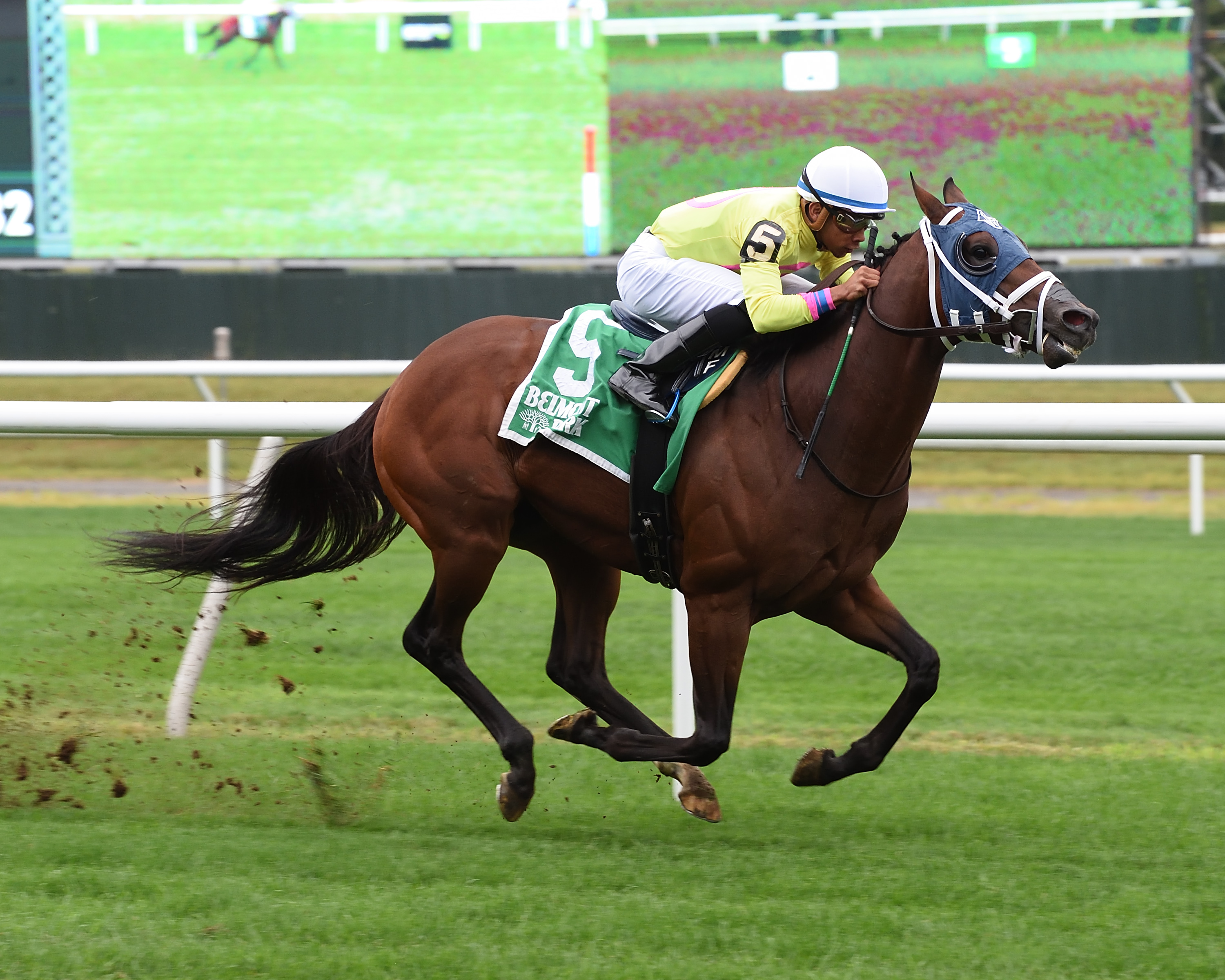 World of Trouble wins the 2018 Allied Forces Stakes
