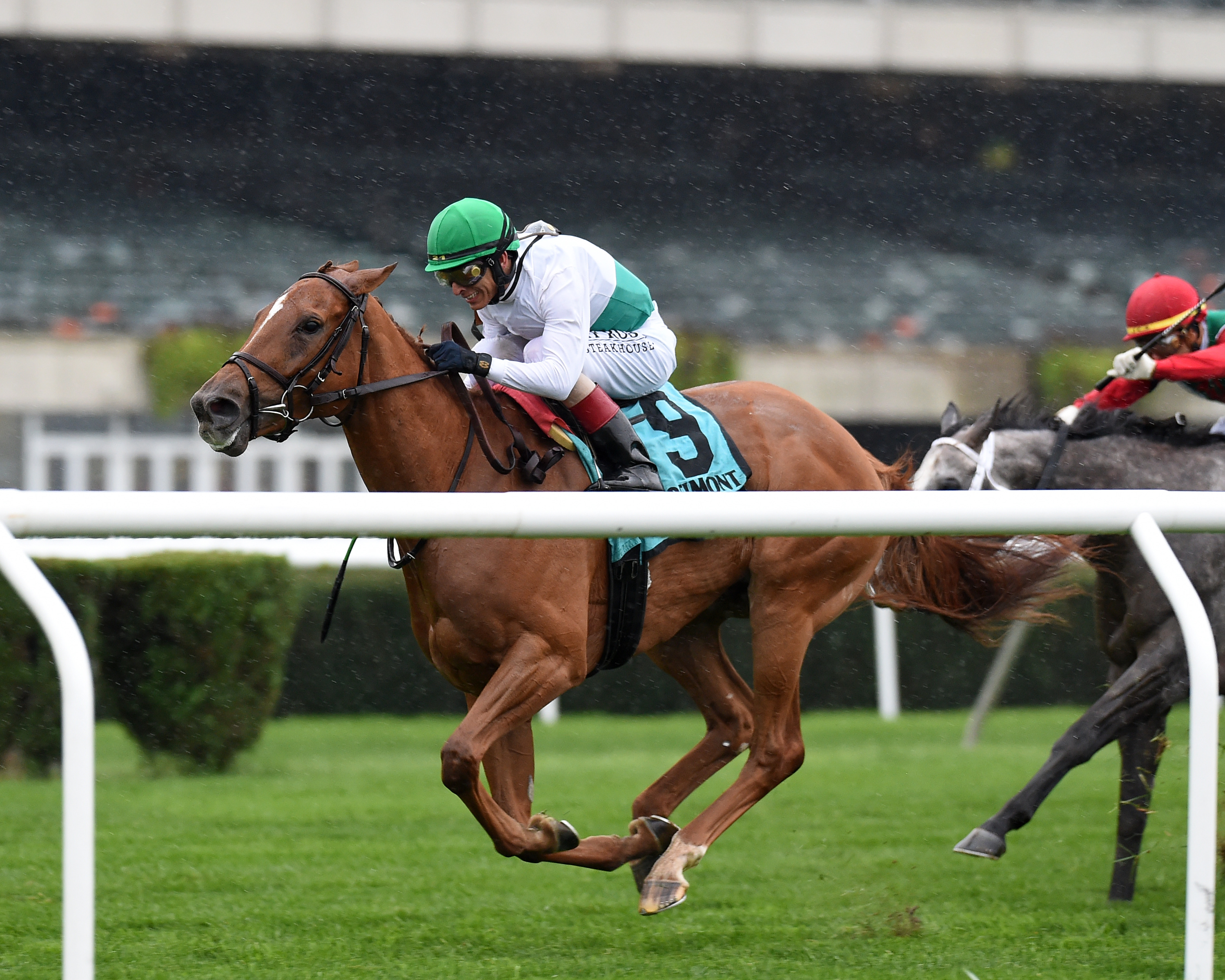 Xenobia wins the 2019 Athenia Stakes