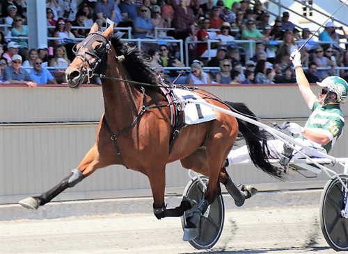 Yannick Gingras/Hall of Fame Trot 7-3-22