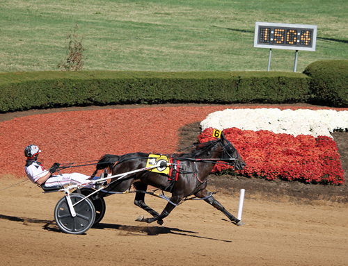 Zane Hanover 10/8/16