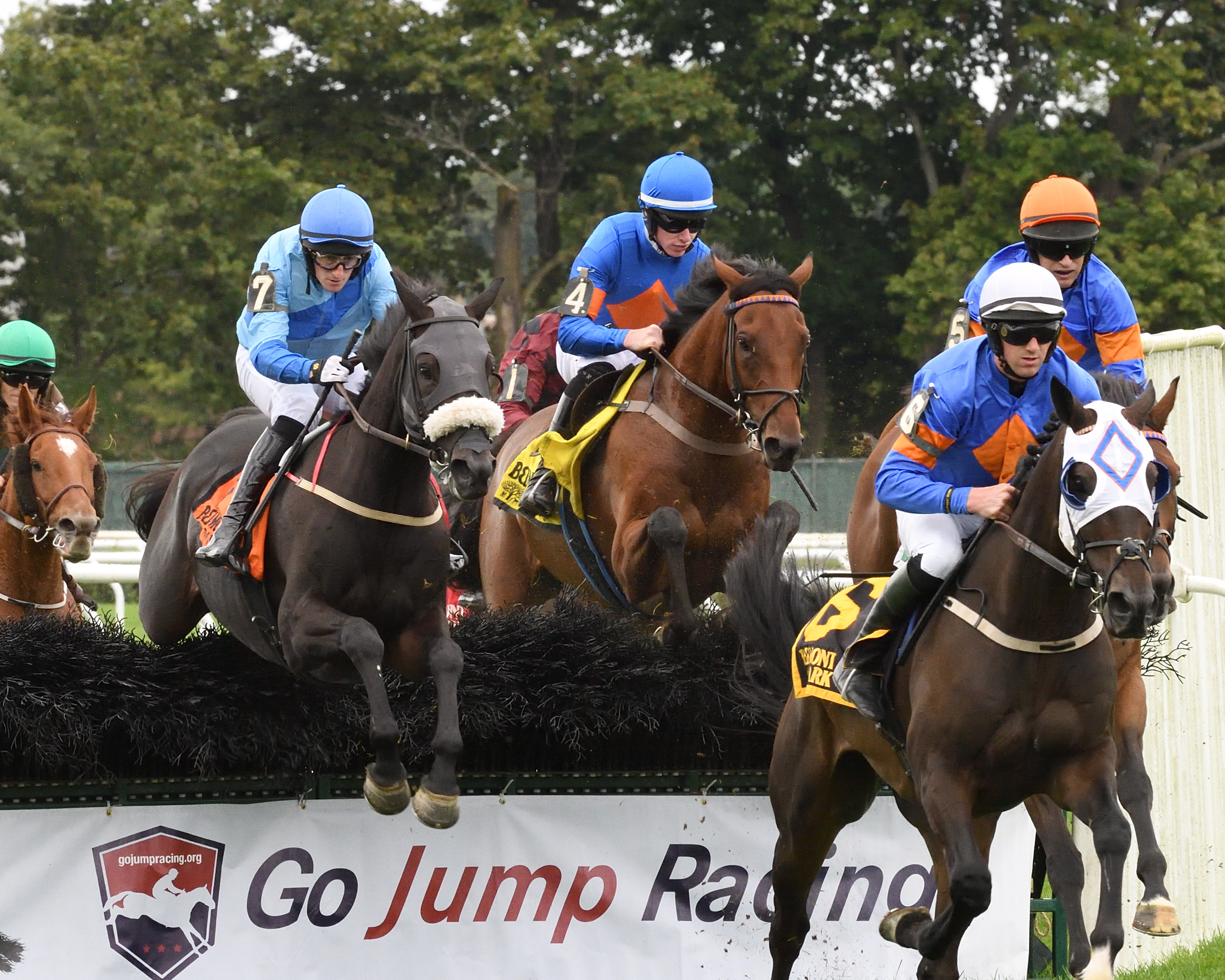 Zanjabeel wins 2018 Lonesome Glory