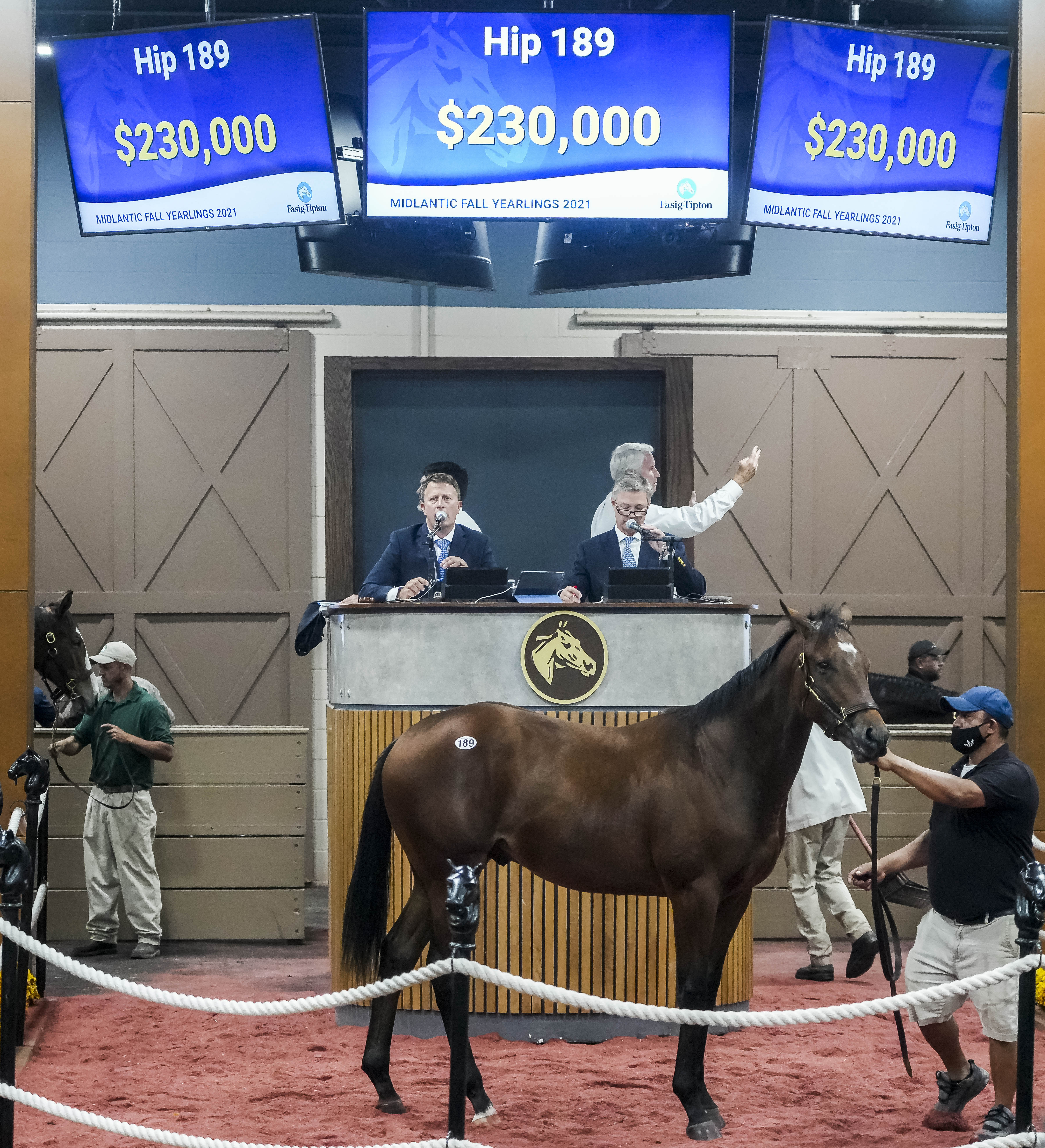 Mendelssohn colt/F-T Midlantic 2021