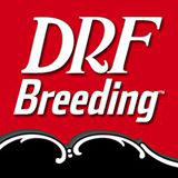 DRF Breeding Staff