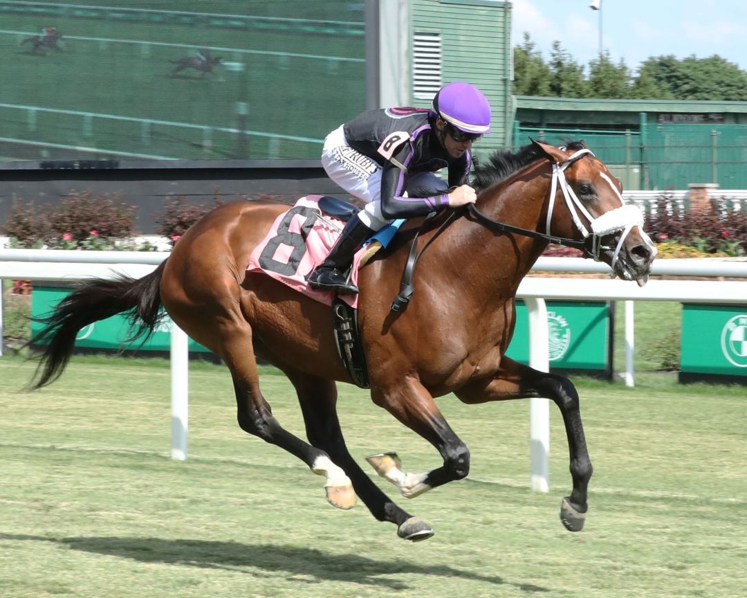 Trainer Michelle Nihei sends out Always Above (above) and Mount Rundle in Wednesday's feature at Keeneland.