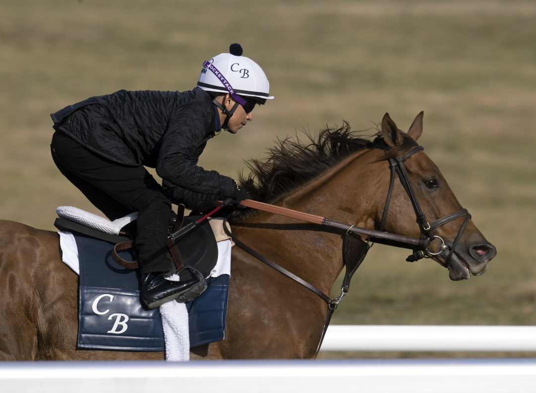 In Italian (above) and Speak of the Devil give Chad Brown a pair of aces in the Jenny Wiley on Saturday at Keeneland.