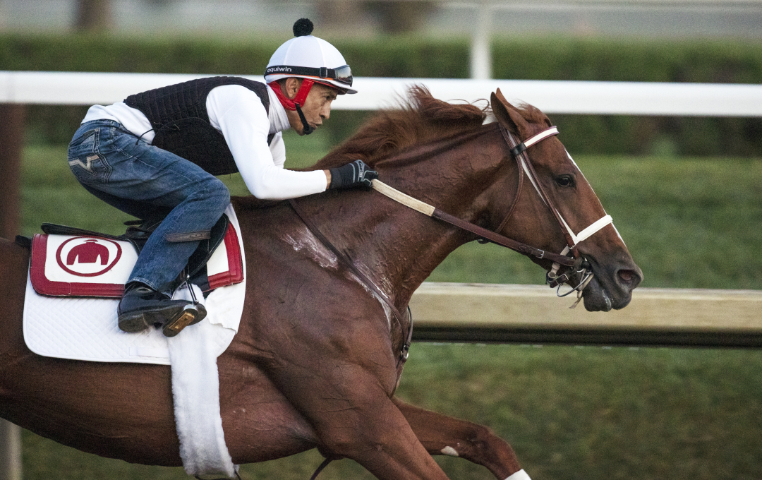 Trainer Eric Reed plans to run Rich Strike three times at Churchill this year: In the Alysheba, the Stephen Foster, and the Lukas Classic.