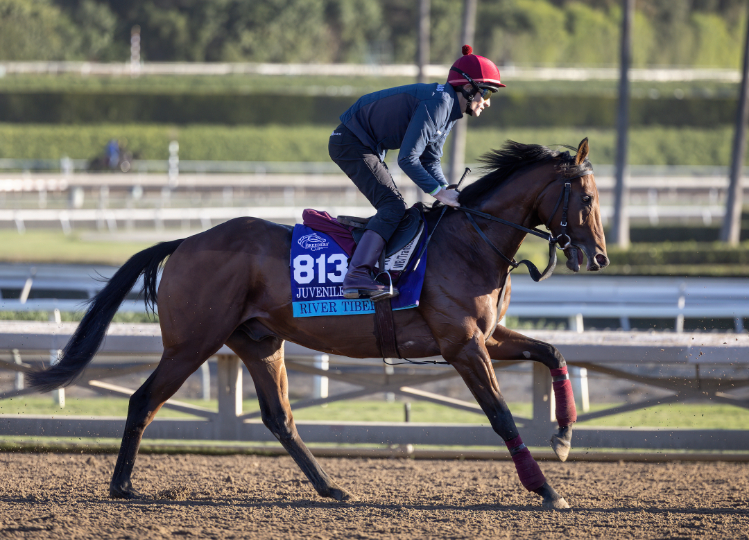 Breeders' Cup Juvenile Turf: Moore's mount choice may be tip-off to winner