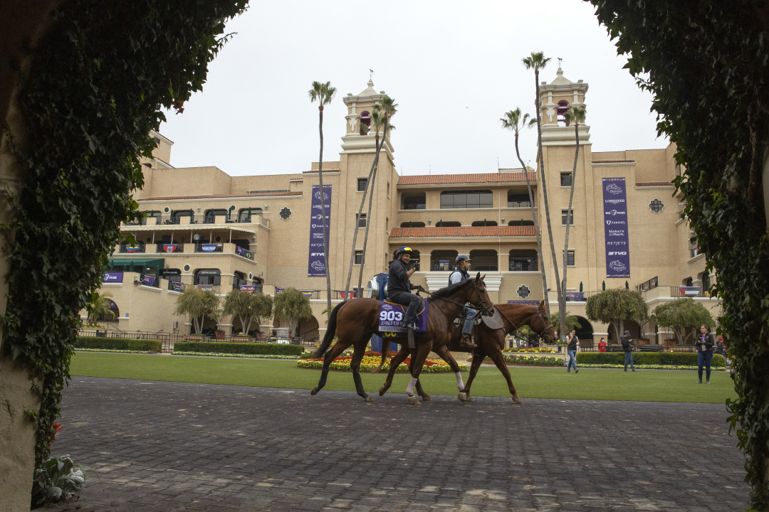 Del Mar to host backtoback Breeders’ Cups in 2025, 2025