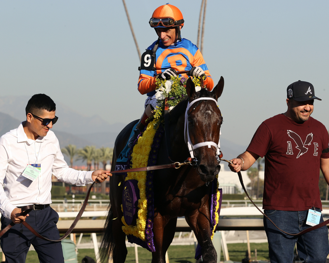 Breeders' Cup Juvenile: Fierceness Takes First Step Down Kentucky Derby ...