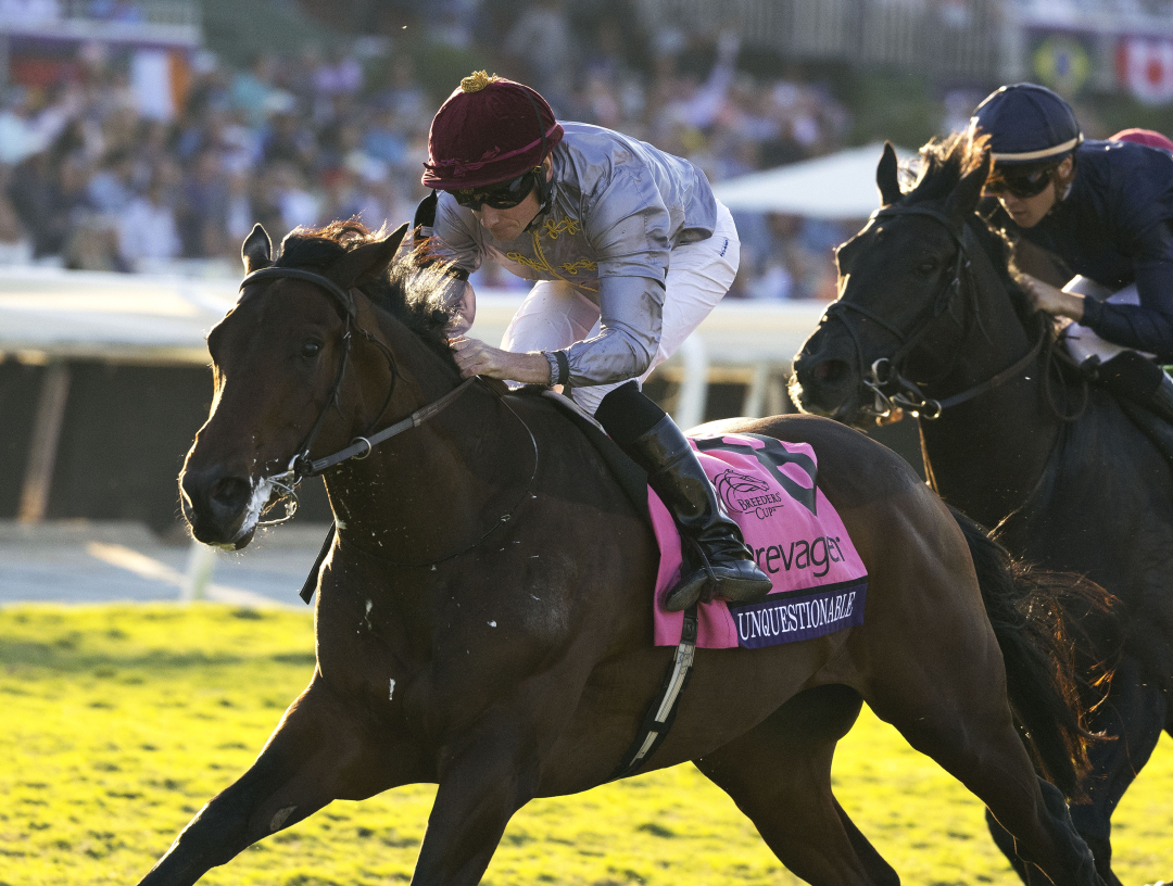 Breeders' Cup Juvenile Turf After stablemate's scratch, no doubt about