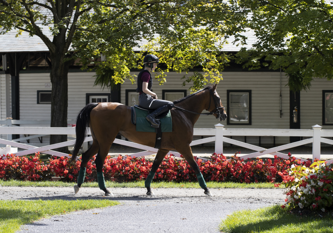 2023 Eclipse Awards: Merry Maker