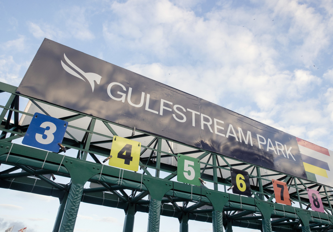 Gulfstream Park.gate_.Jan 27 2024