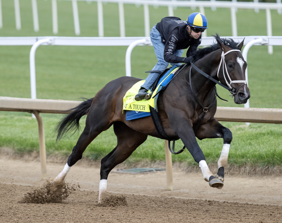 Gun Runner, Justify look to add Kentucky Derby winner to sire ...