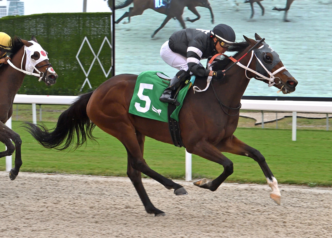 Burnaway wins maiden race at GP Dec 14 2023